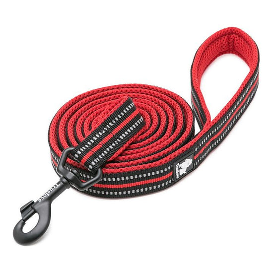 Reflective Pet Leash 2 meters Red L