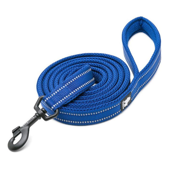 Reflective Pet Leash 2 meters Royal Blue XS