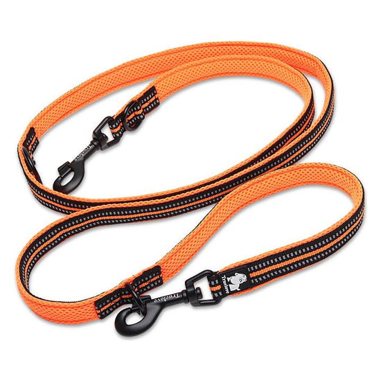 Function Leash Orange M