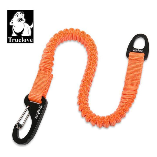 Bungee Extension For Leash Orange L