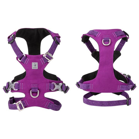 Whinhyepet Harness Purple S