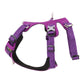 Whinhyepet Harness Purple S