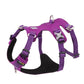 Whinhyepet Harness Purple L