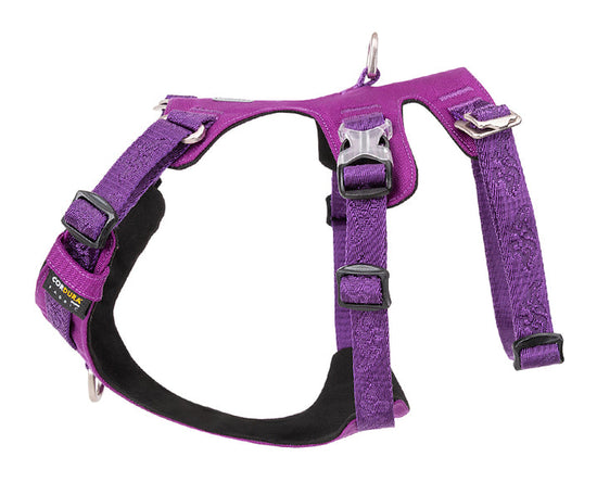 Whinhyepet Harness Purple XL