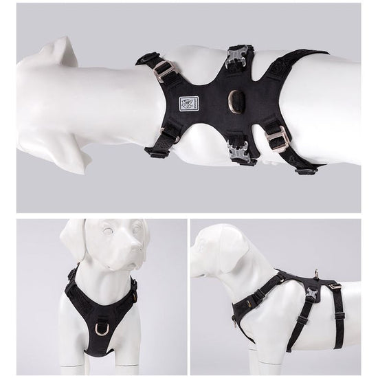 Whinhyepet Harness Black S