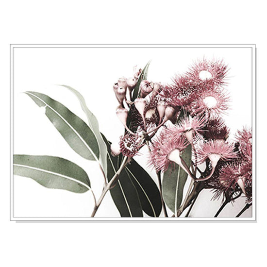 Wall Art 50cmx70cm Eucalyptus in Bloom White Frame Canvas