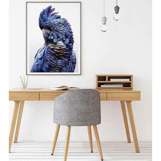 Wall Art 70cmx100cm Black Cockatoo A Black Frame Canvas