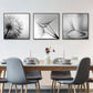 70cmx70cm Botanical dandelions 3 Sets Black Frame Canvas Wall Art