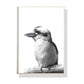 Wall Art 40cmx60cm Kookaburra Black Frame Canvas