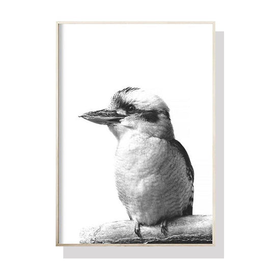 Wall Art 80cmx120cm Kookaburra Black Frame Canvas