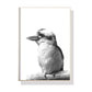 Wall Art 90cmx135cm Kookaburra Black Frame Canvas