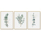 Wall Art 80cmx120cm Eucalyptus Plant 3 Sets Gold Frame Canvas