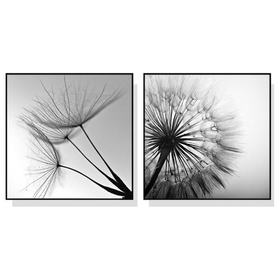 Wall Art 80cmx80cm Black and white dandelion 2 Sets Black Frame Canvas