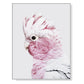 Wall Art 40cmx60cm Pink Galah White Frame Canvas