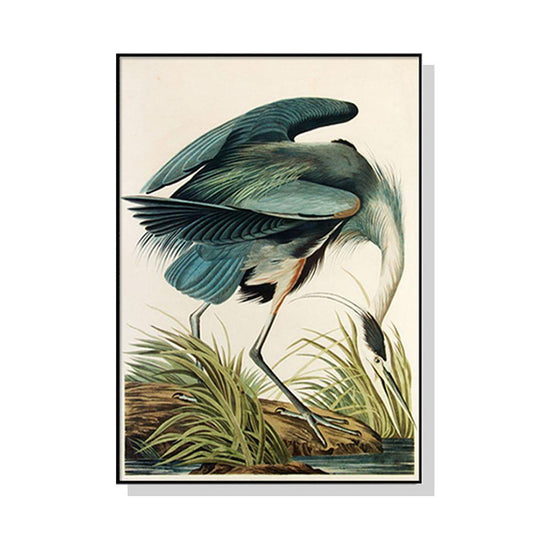 Wall Art 90cmx135cm Great Blue Heron By John James Audubon Black Frame Canvas