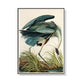 Wall Art 90cmx135cm Great Blue Heron By John James Audubon Black Frame Canvas