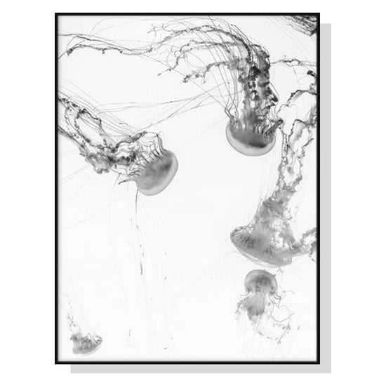 Wall Art 40cmx60cm Jellyfish Black Frame Canvas