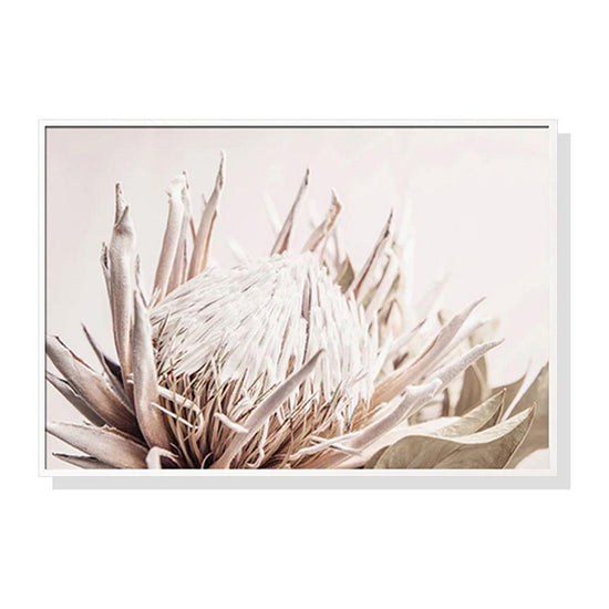 Wall Art 40cmx60cm Pure Protea II White Frame Canvas