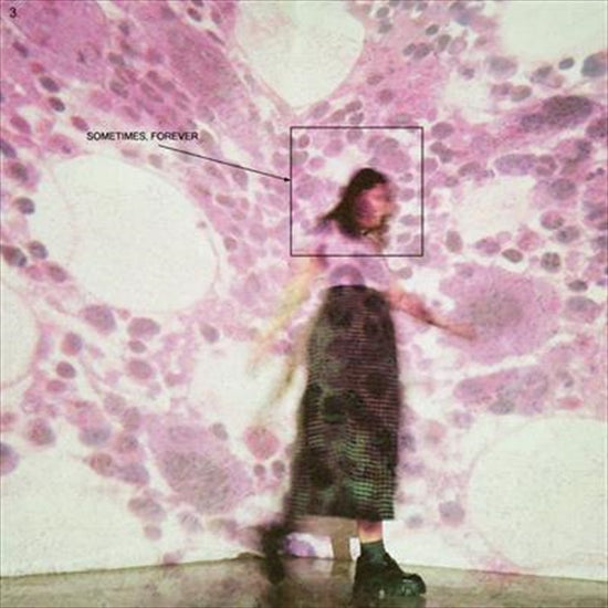Sometimes Forever - Soccer Mommy Cd Album