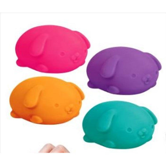 Schylling - Funky Pup Nee Doh (SENT AT RANDOM)