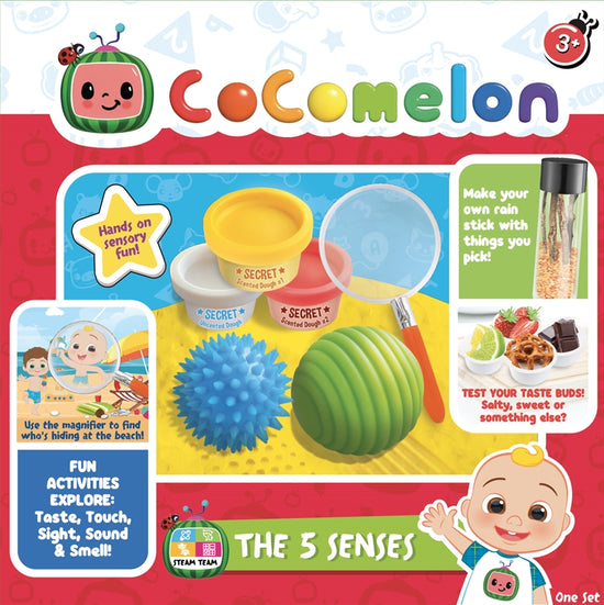 Cocomelon 5 Senses