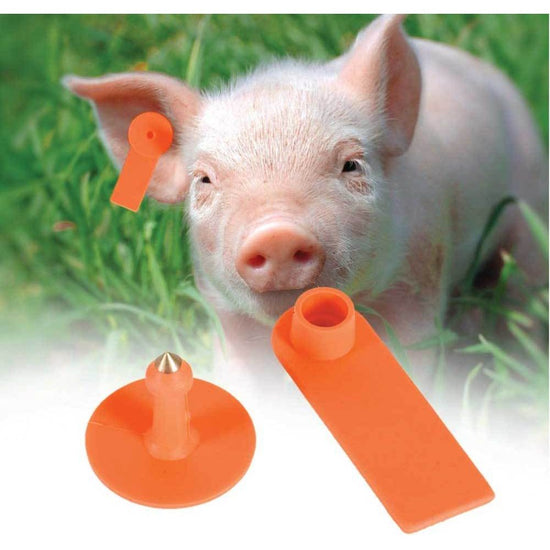 100x Cattle Ear Tags 5x2cm Set - Mini Orange Blank Pig Goat Livestock Label