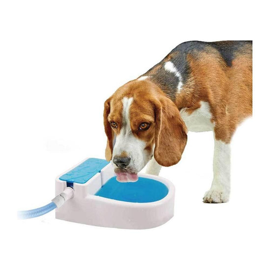 Auto Filling Dog Drinking Water Fountain - Outdoor Automatic Pet Drinking Bowl