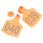 1-100 Cattle Number Ear Tag 6x7cm Set - Medium Orange Cow Sheep Livestock Label