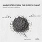 3.5Kg Poppy Seeds Unwashed Bucket Papaver Somniferum For Baking and Decorating