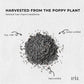 400g Poppy Seeds Unwashed Papaver Somniferum For Baking and Decorating