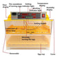 Electric 96 Egg Incubator + Accessories Hatching Eggs Chicken Quail Duck
