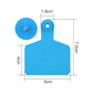 100x Cattle Ear Tags 6x7.5cm Set - Medium Blue Blank Cow Sheep Livestock Label