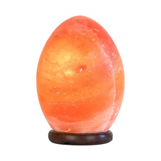 12V 12W Egg Himalayan Pink Salt Lamp Carved Rock Crystal Light Bulb On/Off Switch