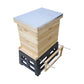 Plastic Beehive Stand 10 Frame Langstroth Bee Hive Base Ant Tool Beekeeping
