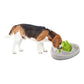 Dog Slow Feeder Bowl - Interactive Puzzle Anti Gulp Puppy Eating Maze AFP Pet