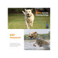 Dog Bark Collars - 2x 800m Range Recievers Vibration Sound Light Training Device