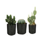 6 Pck 1 Gallon Fabric Flower Pots 3.8L Garden Planter Bags Black Felt Root Pouch