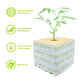 75x75x65mm Stonewool 8pk - Planting Propagation Growing Assist Block Nutrifield