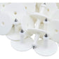 100x Cattle Ear Tags 6x7cm Set - Medium White Blank Cow Sheep Livestock Label