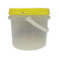 Bulk 10 x 0.8L Honey Bucket with Lid - 1Kg Clear Tamper Proof Plastic Tub