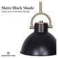 Sarantino Black and Gold Pendant Light