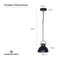 Sarantino Black and Gold Pendant Light