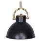 Sarantino Black and Gold Pendant Light