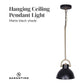 Sarantino Black and Gold Pendant Light