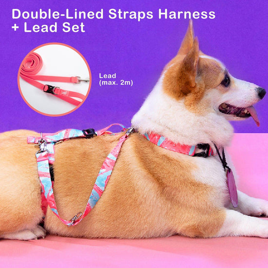 Dog Double-Lined Straps Harness and Lead Set Leash Adjustable M NEON CAROL-PINK