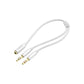 UGREEN 3.5mm Female to 2 Male Headset Splitter (10790)