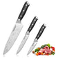 Warmot 3-Piece High Carbon Stainless Steel Cooking Knife Triple Riveted Handle with Gift Box(997-3)