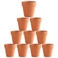 10x 5cm Flower Pot Pots Clay Ceramic Plant Drain Hole Succulent Cactus Nursery Planter