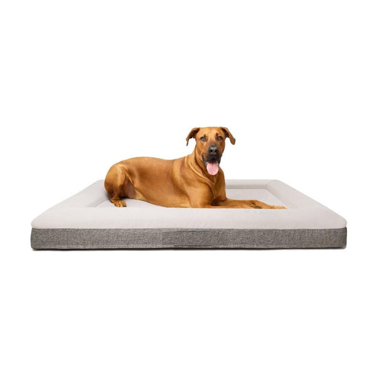 Fur King "Ortho" Orthopedic Dog Bed - XL