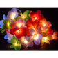 1 Set of 20 LED Tropical Bright Colous Frangipani Flower Battery String Lights Christmas Gift Home Wedding Party Decoration Outdoor Table Centrepiece